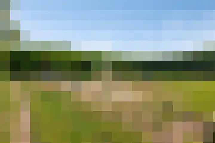 Elbeplantsoen 19 Helmond thumbnail 40