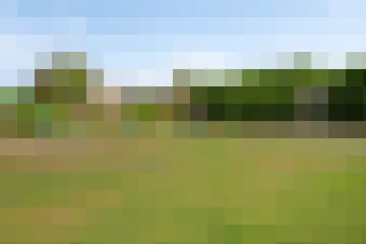 Elbeplantsoen 19 Helmond thumbnail 41