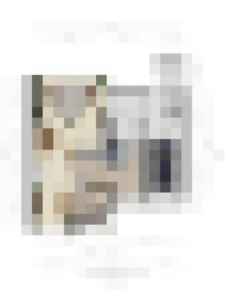 Elbeplantsoen 19 Helmond thumbnail 42