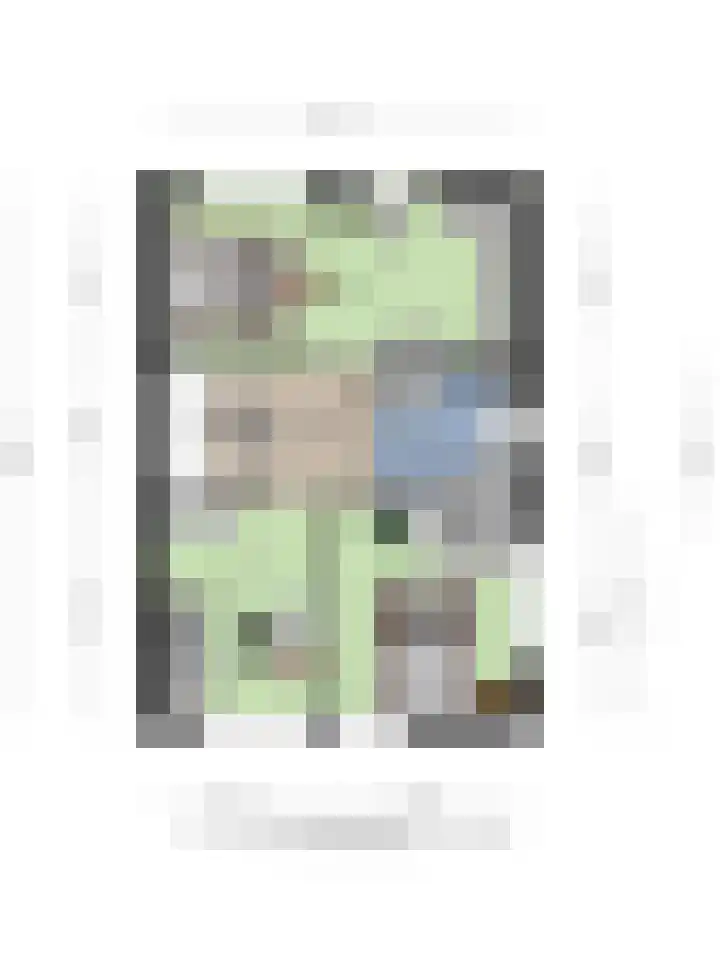 Elbeplantsoen 19 Helmond thumbnail 43