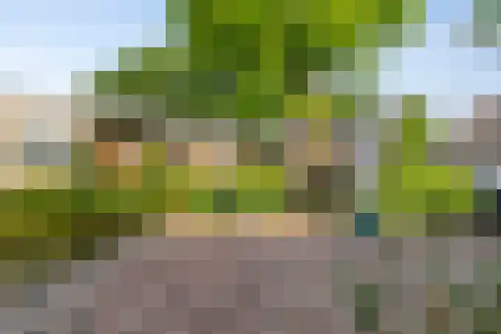 Elbeplantsoen 19 Helmond thumbnail 6
