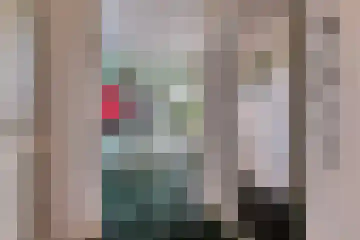 Elbeplantsoen 19 Helmond thumbnail 9