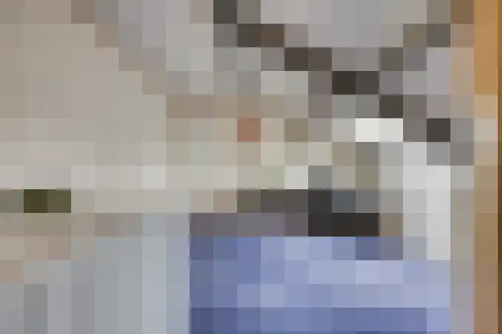 Elbeplantsoen 21 Helmond thumbnail 27