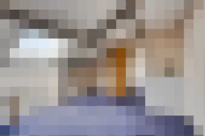 Elbeplantsoen 21 Helmond thumbnail 28