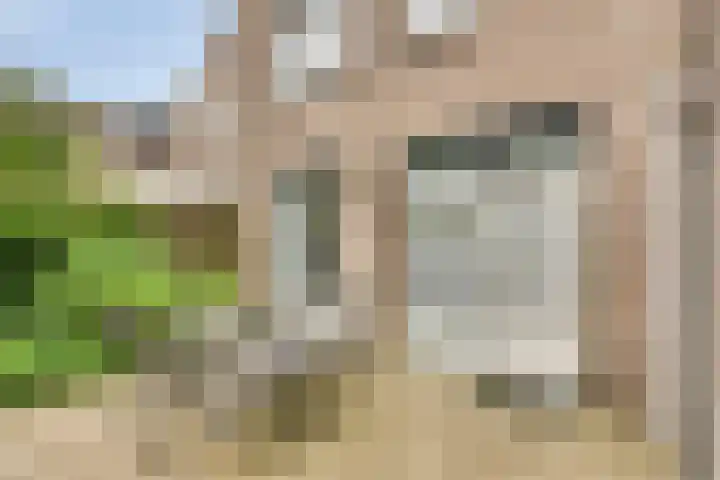 Elbeplantsoen 21 Helmond thumbnail 30