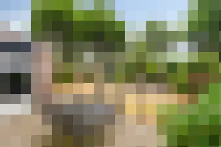 Elbeplantsoen 21 Helmond thumbnail 31
