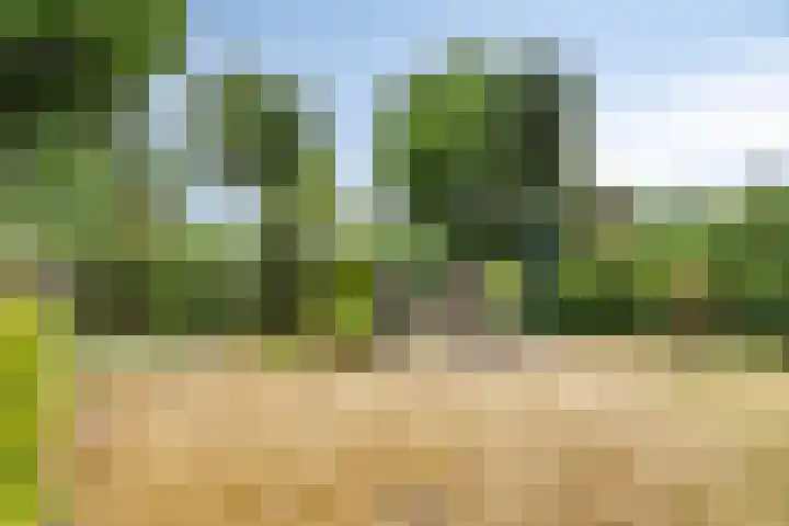 Elbeplantsoen 21 Helmond thumbnail 32