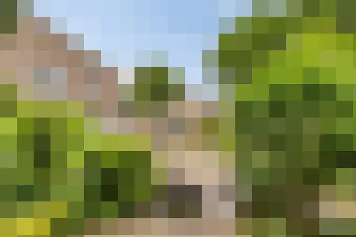 Elbeplantsoen 21 Helmond thumbnail 33