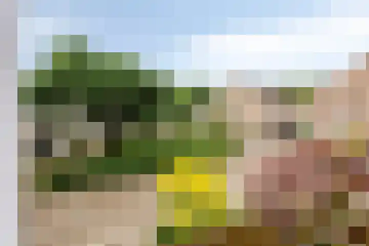 Elbeplantsoen 21 Helmond thumbnail 34