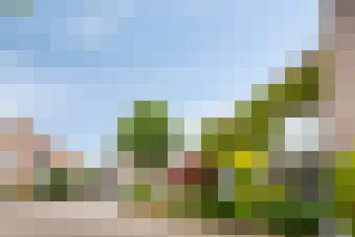 Elbeplantsoen 21 Helmond thumbnail 35