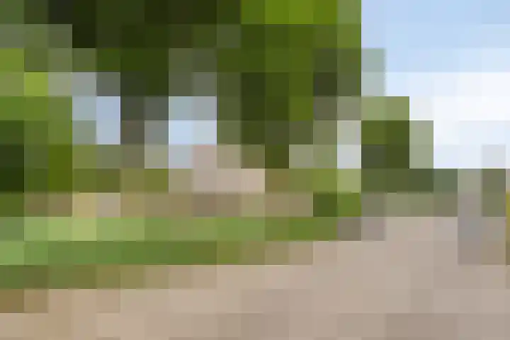 Elbeplantsoen 21 Helmond thumbnail 36