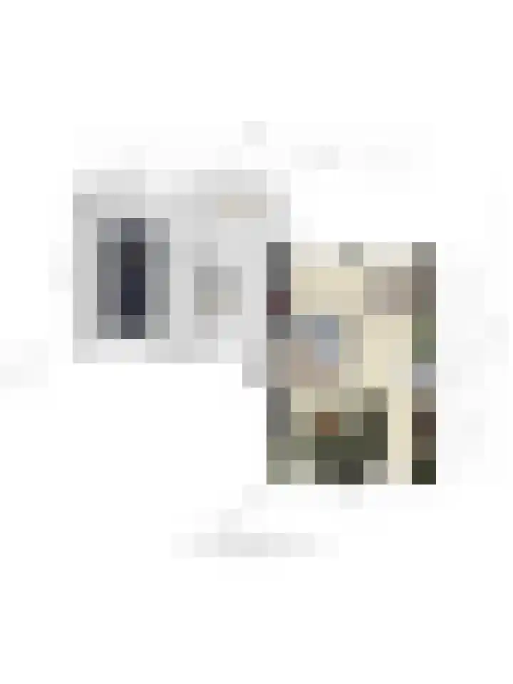 Elbeplantsoen 21 Helmond thumbnail 37
