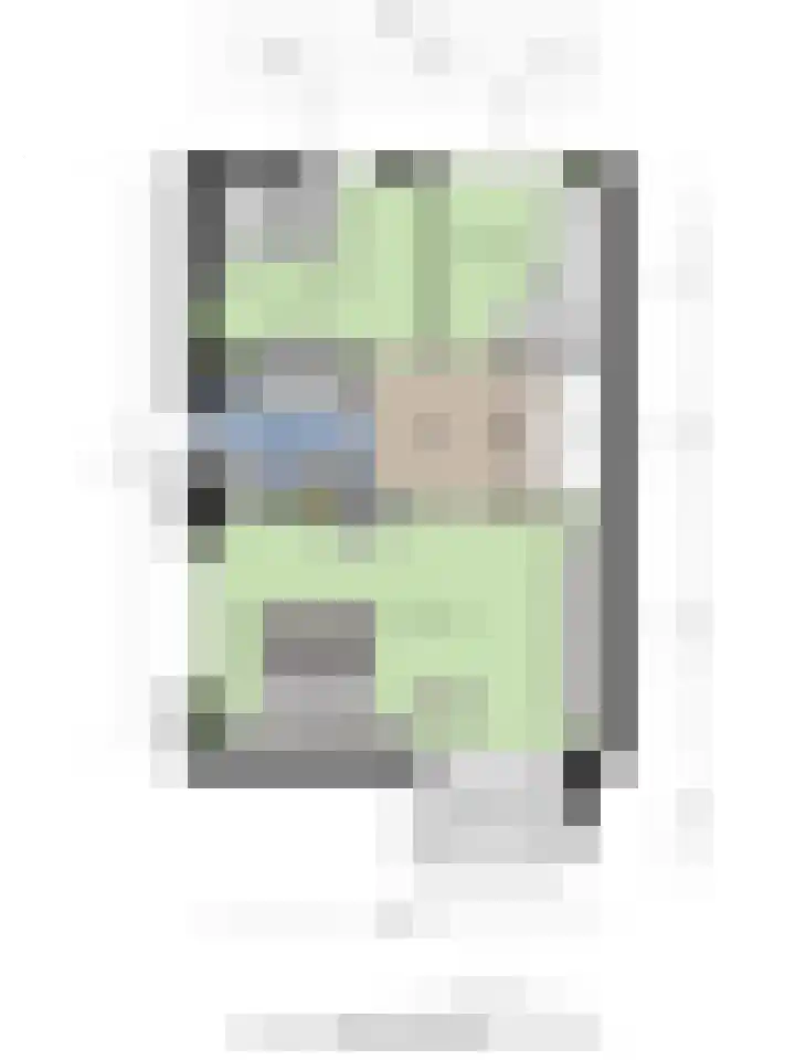 Elbeplantsoen 21 Helmond thumbnail 38