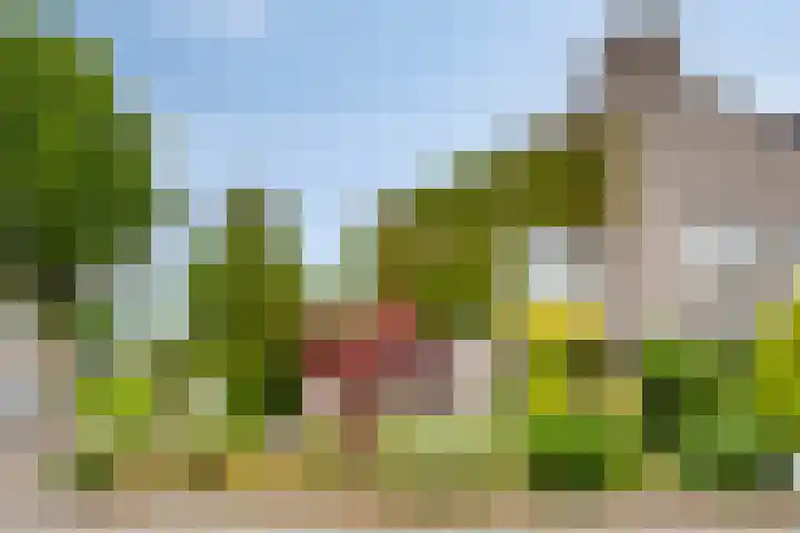 Elbeplantsoen 21 Helmond thumbnail 40