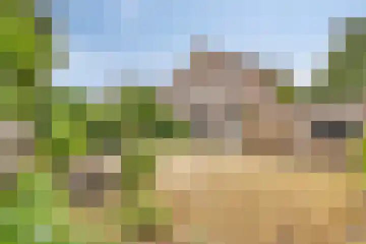 Elbeplantsoen 21 Helmond thumbnail 6