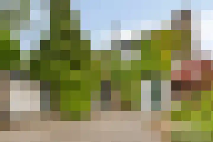Elbeplantsoen 21 Helmond thumbnail 7