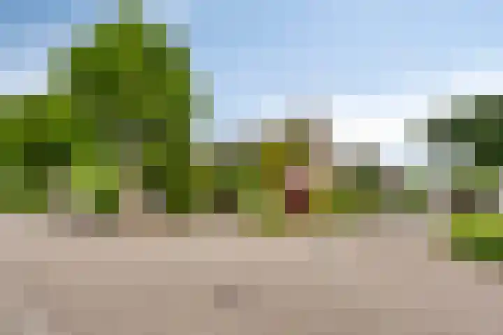 Elbeplantsoen 21 Helmond thumbnail 8