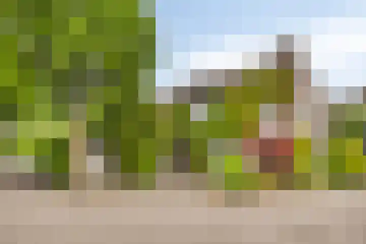 Elbeplantsoen 21 Helmond thumbnail 9