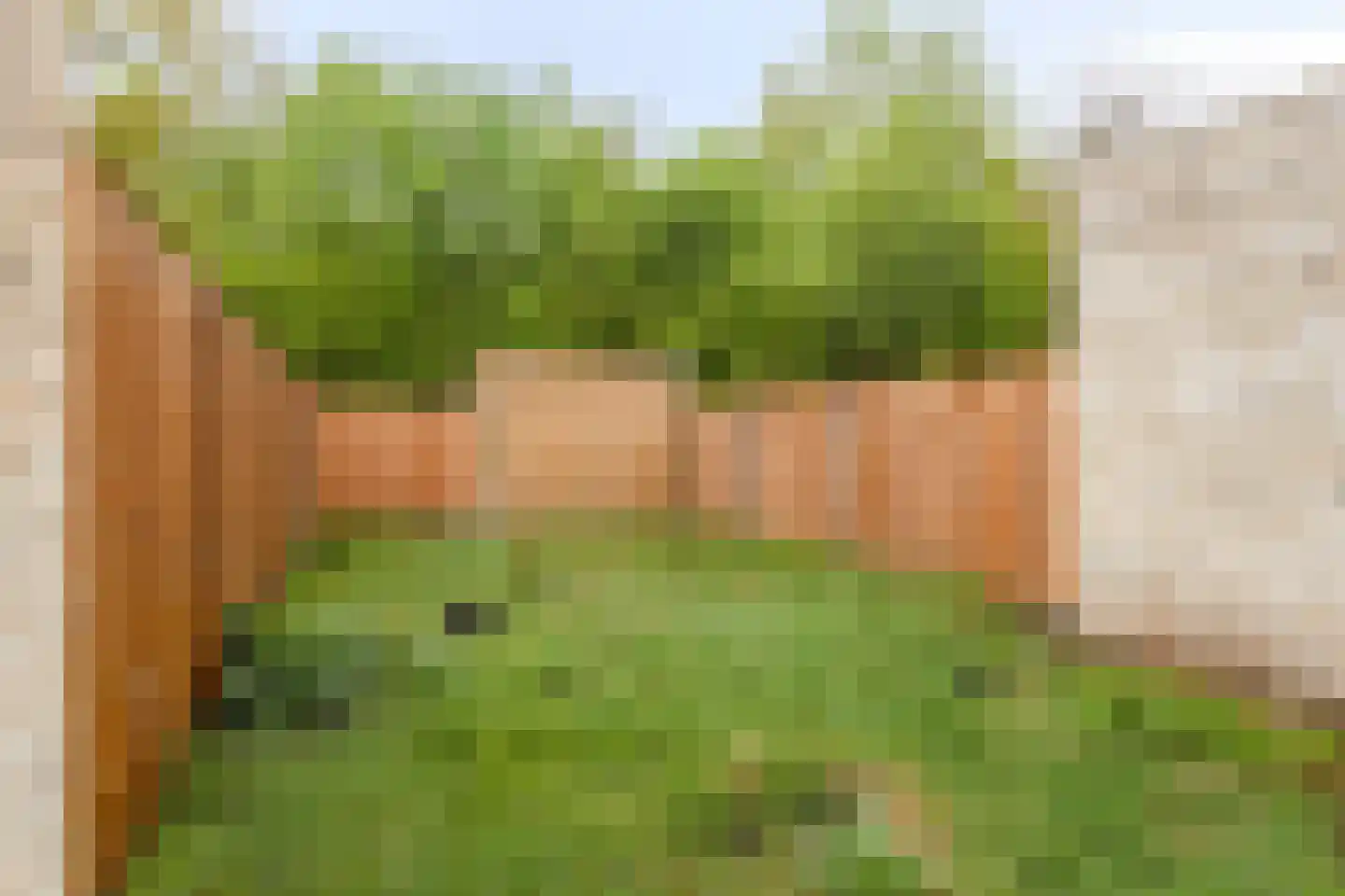 Elbeplantsoen 59 F Helmond thumbnail 21