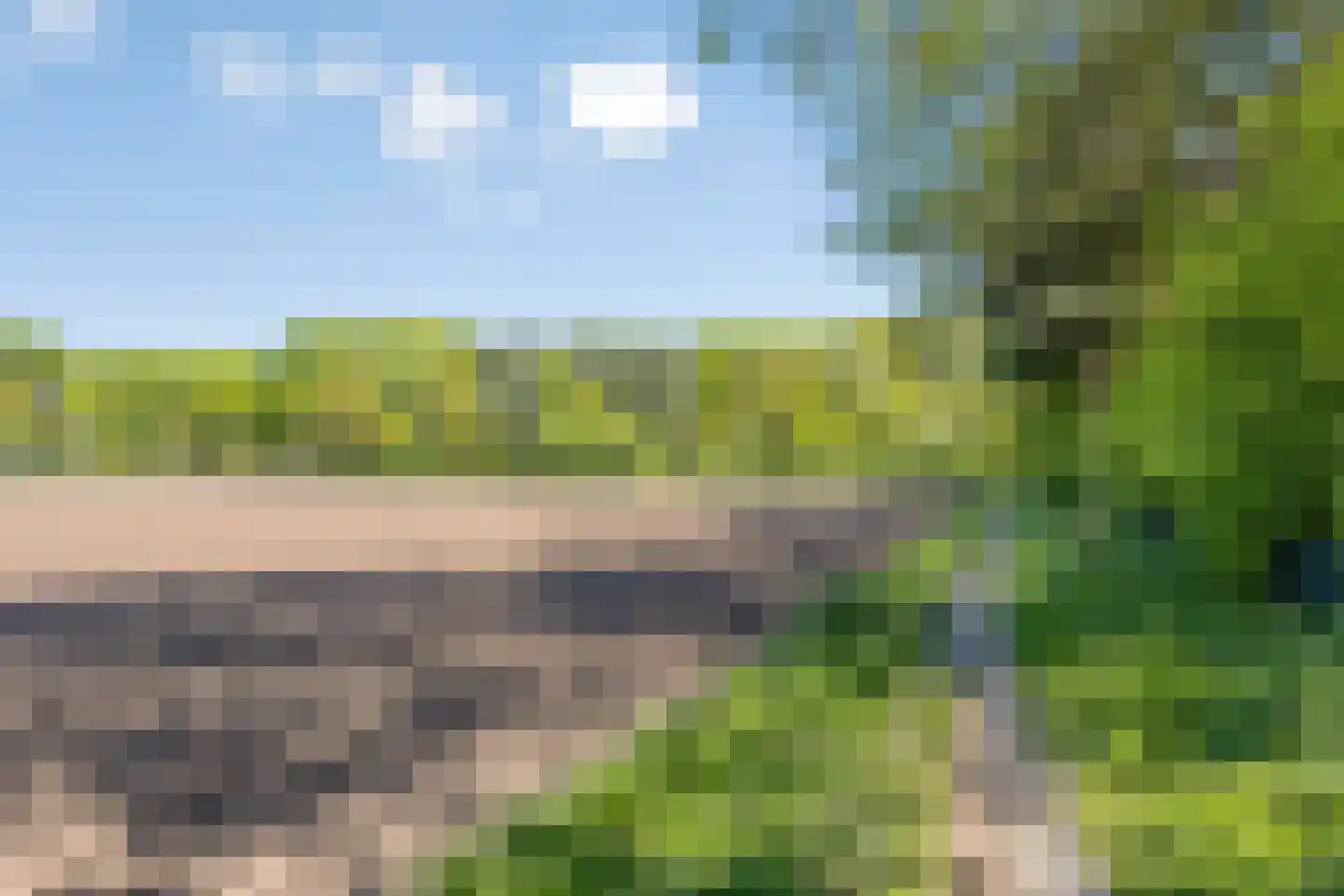 Elbeplantsoen 71 Helmond thumbnail 11