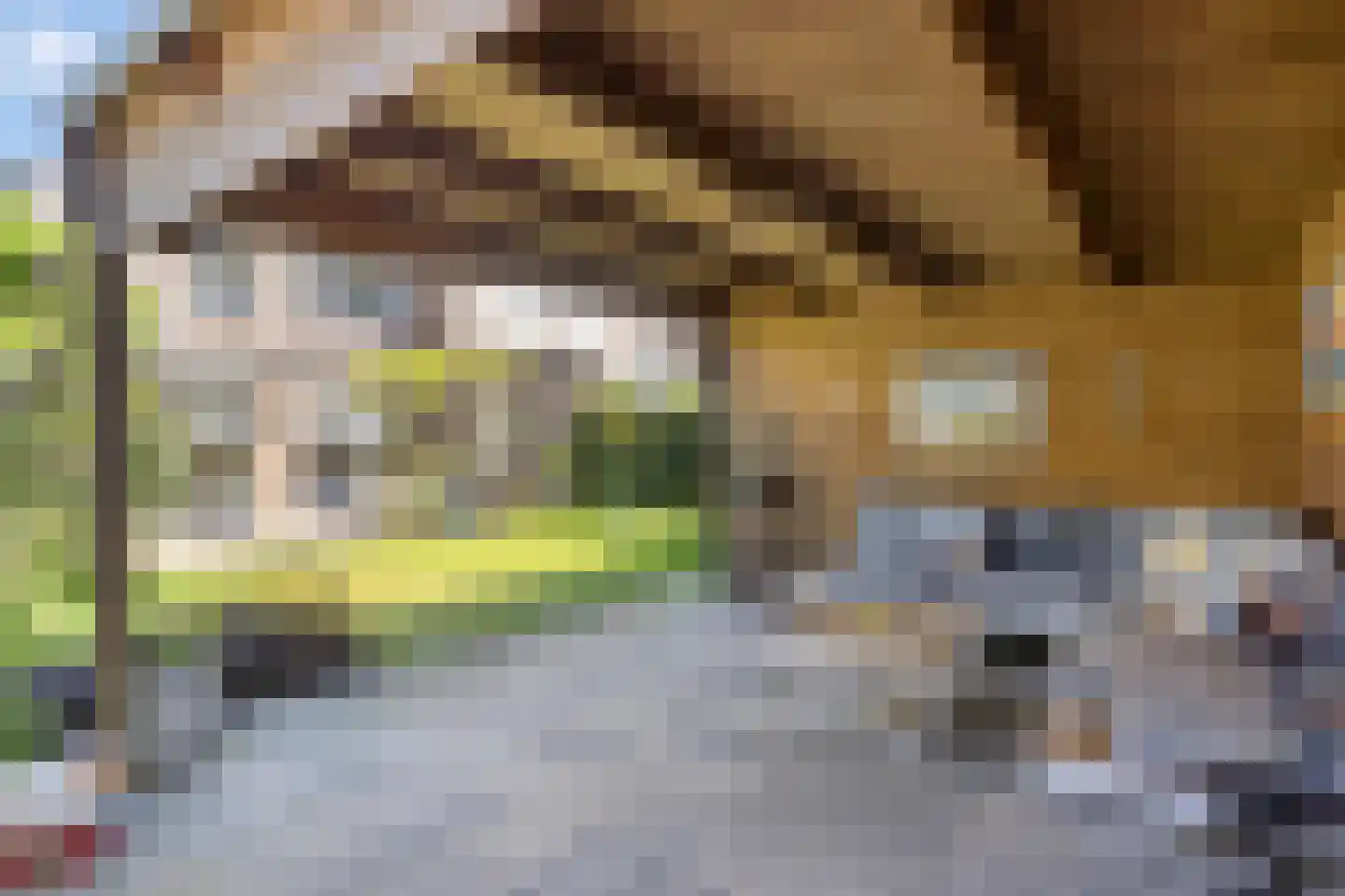 Elbeplantsoen 71 Helmond thumbnail 37