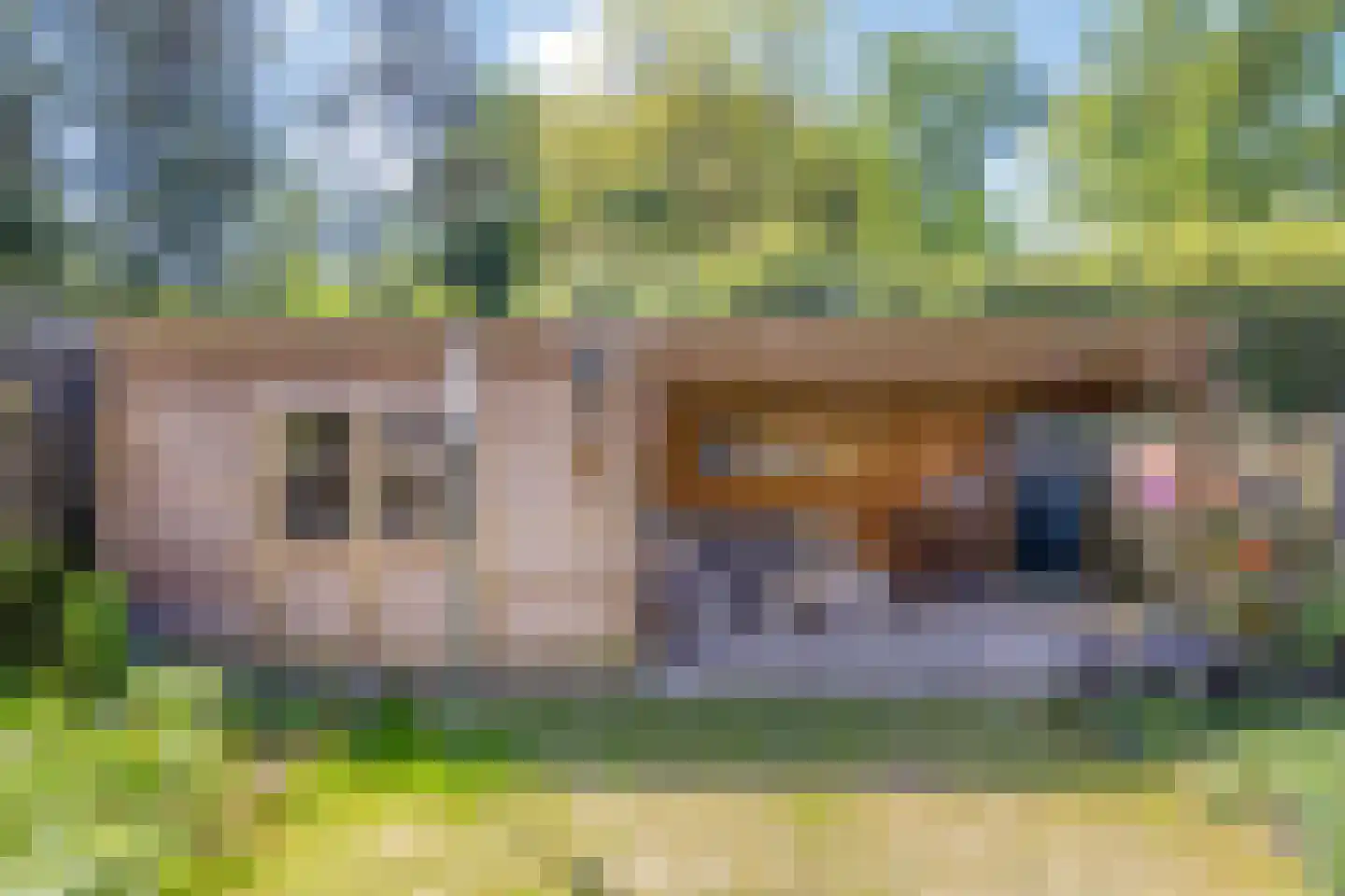 Elbeplantsoen 71 Helmond thumbnail 38