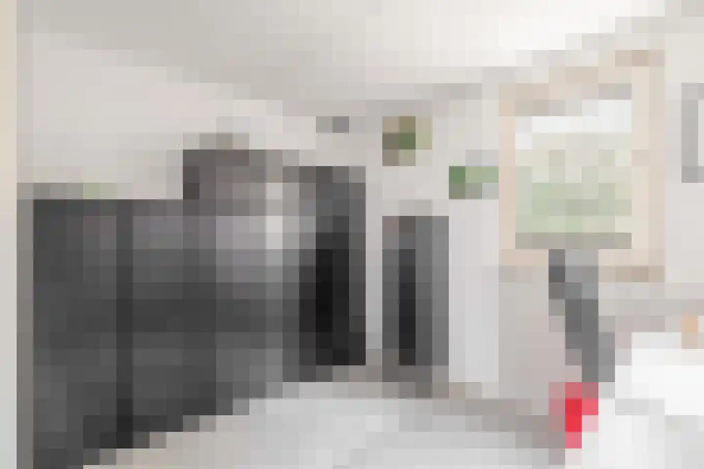 Elbeplantsoen 73 Helmond thumbnail 30