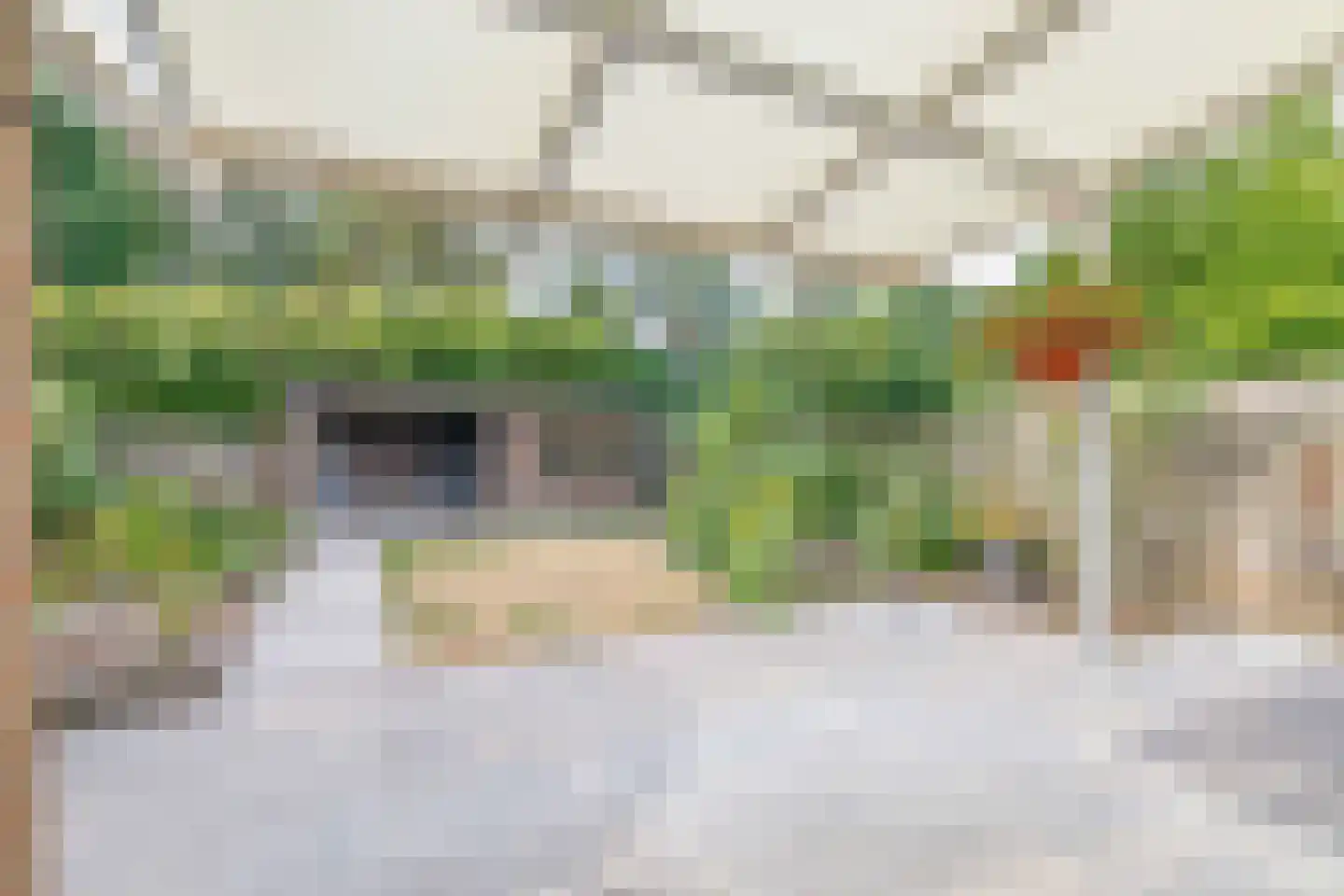 Elbeplantsoen 73 Helmond thumbnail 47