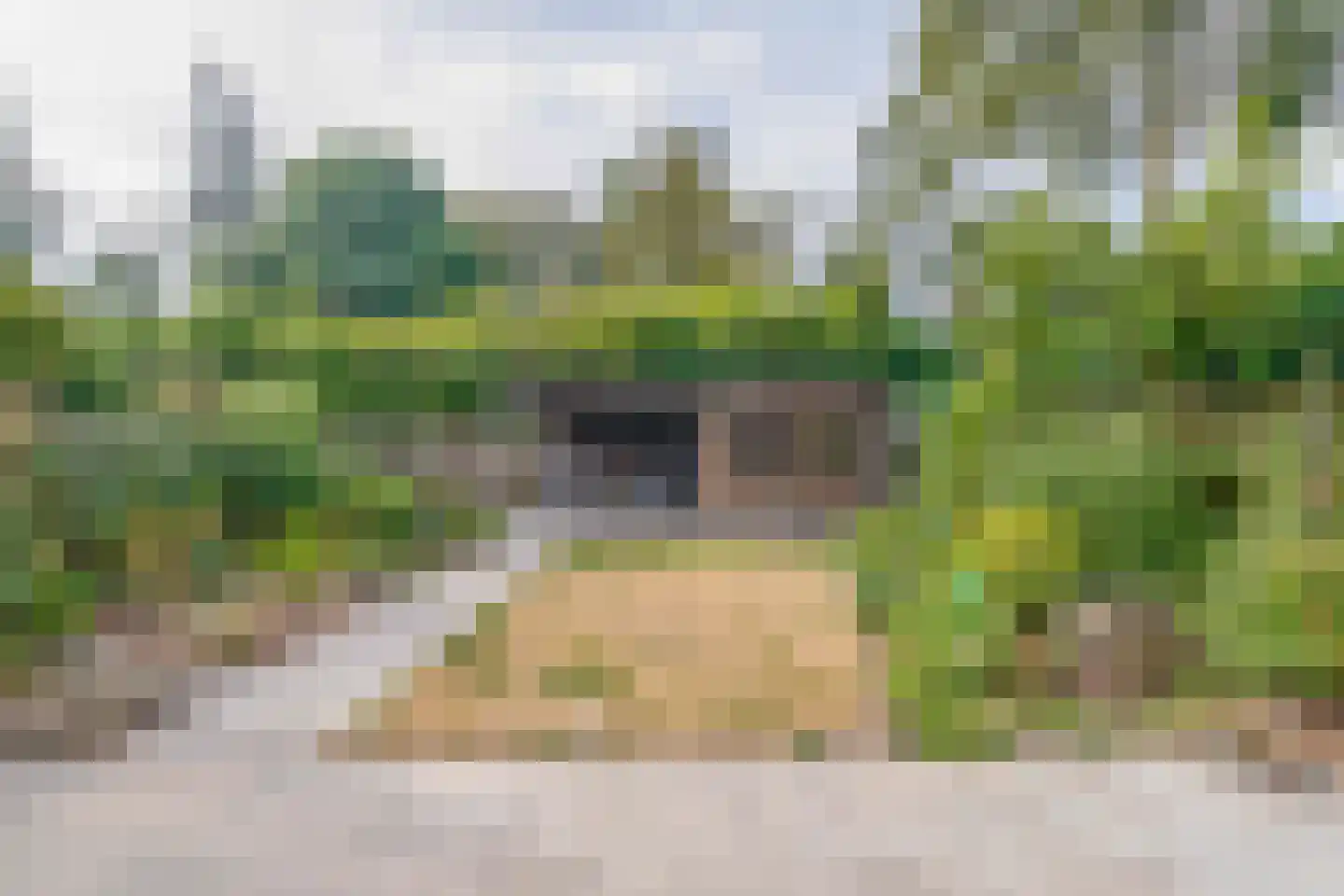 Elbeplantsoen 73 Helmond thumbnail 51