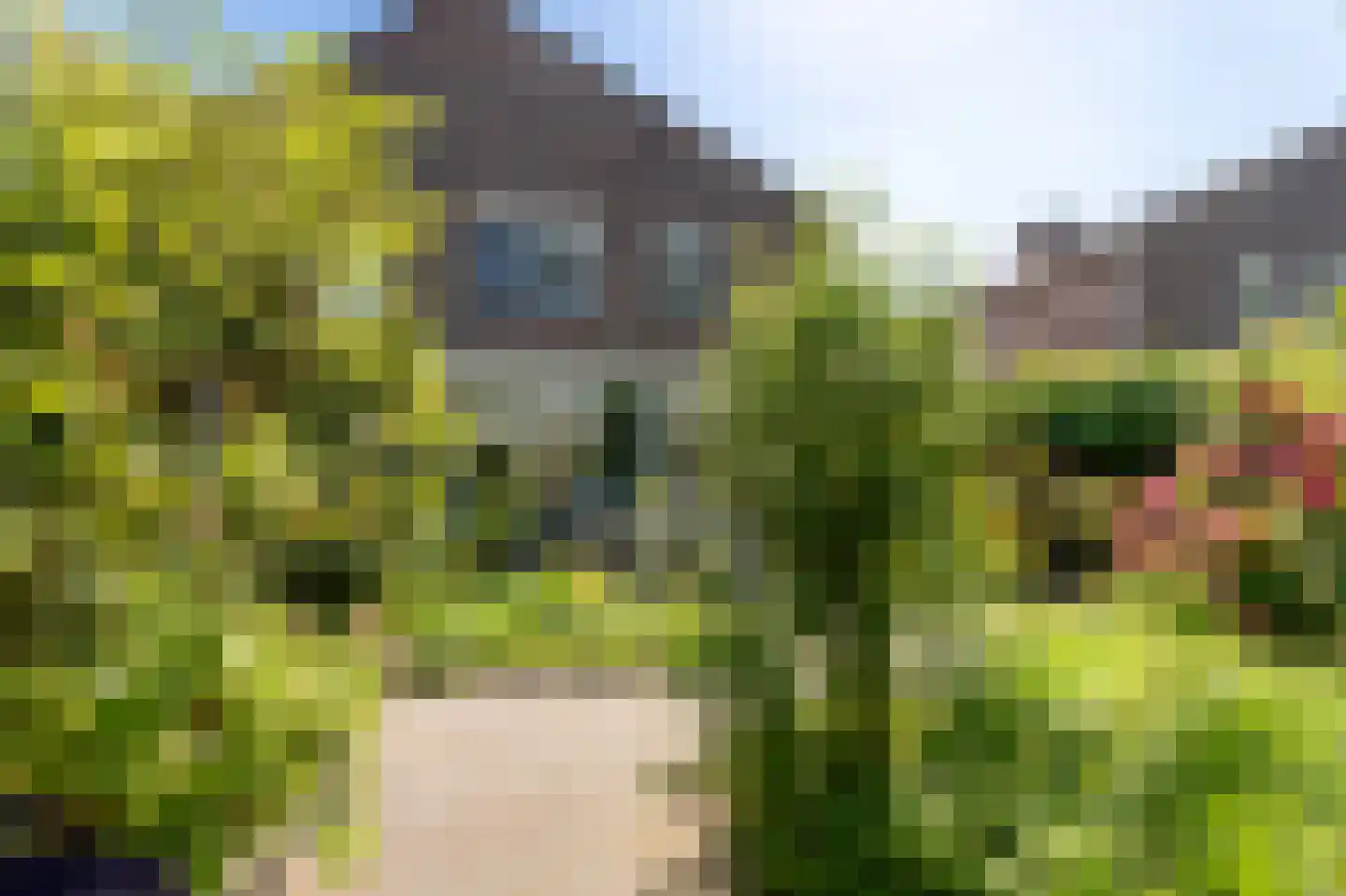 Elbeplantsoen 9 Helmond thumbnail 23