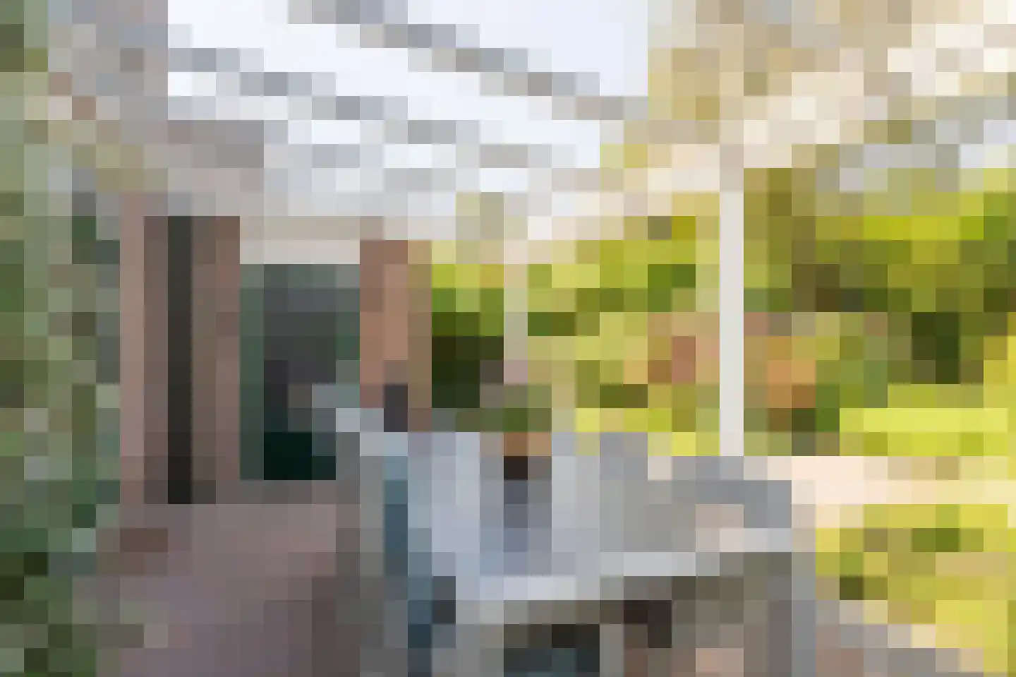 Elbeplantsoen 9 Helmond thumbnail 26
