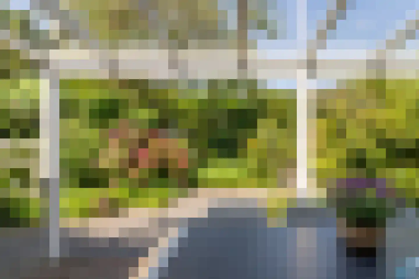 Elbeplantsoen 9 Helmond thumbnail 27