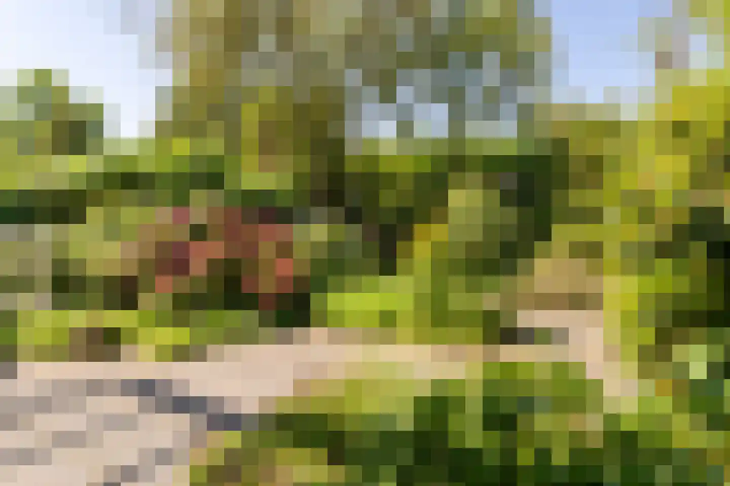 Elbeplantsoen 9 Helmond thumbnail 29