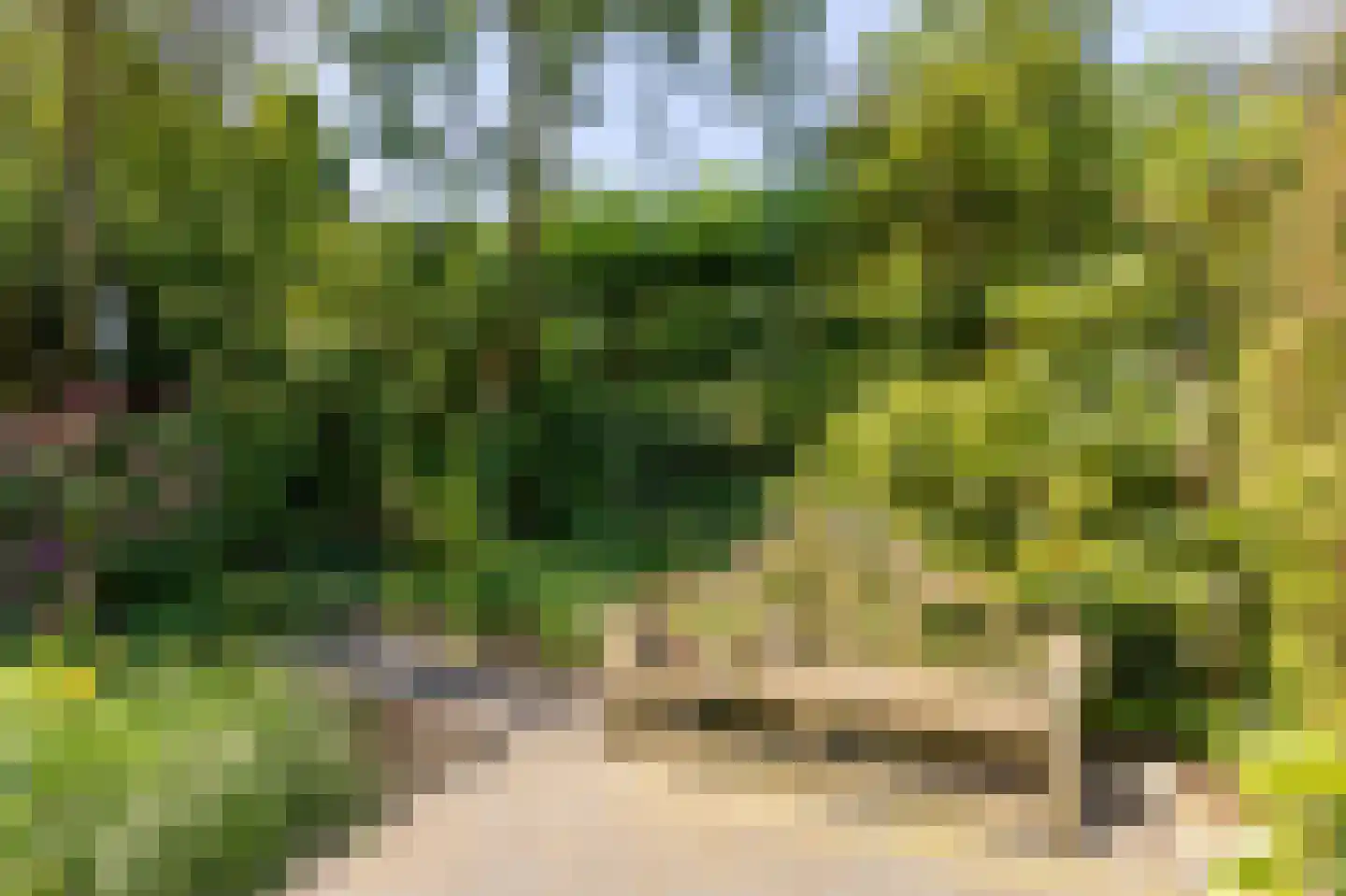 Elbeplantsoen 9 Helmond thumbnail 30
