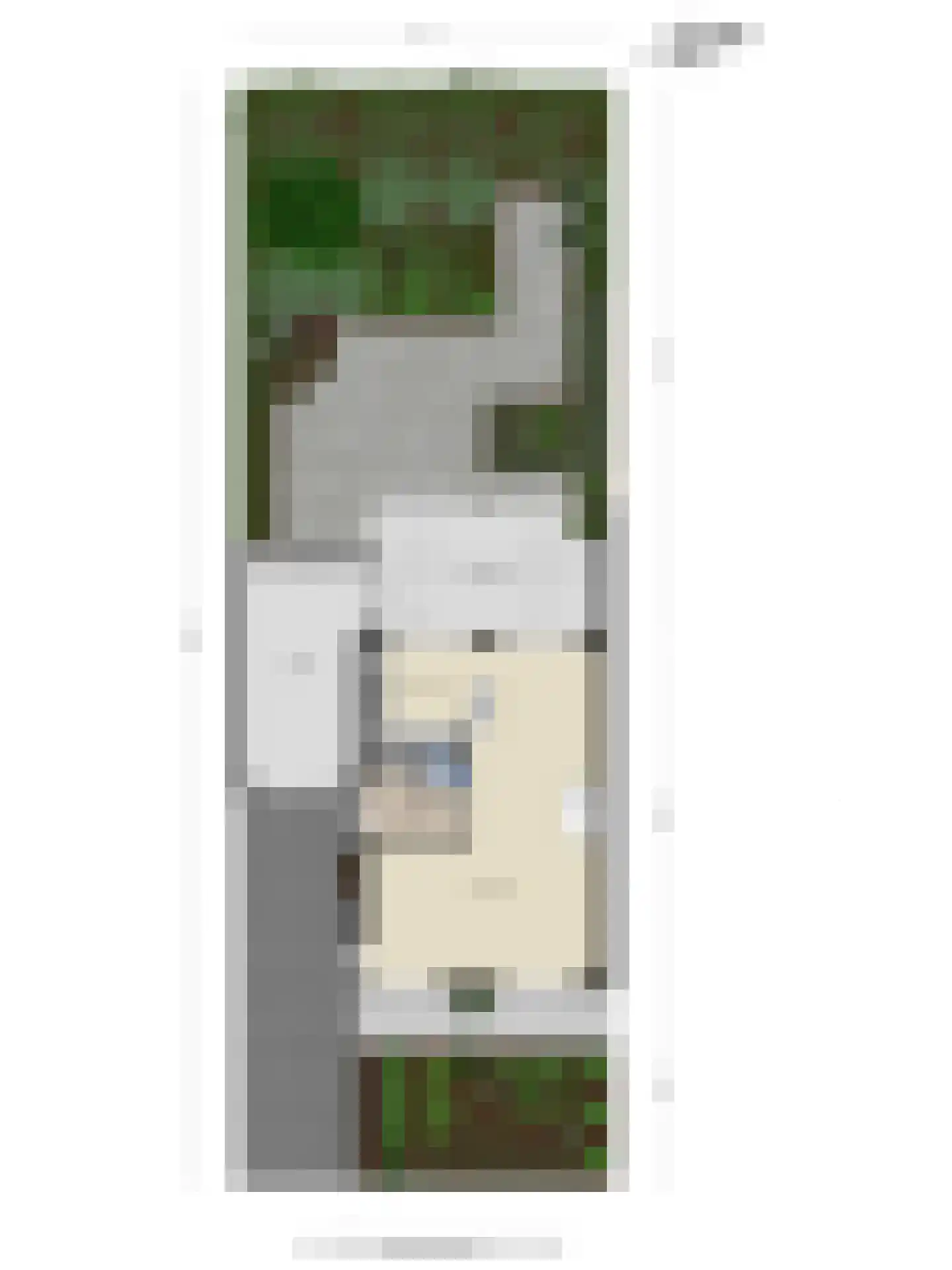Elbeplantsoen 9 Helmond thumbnail 34