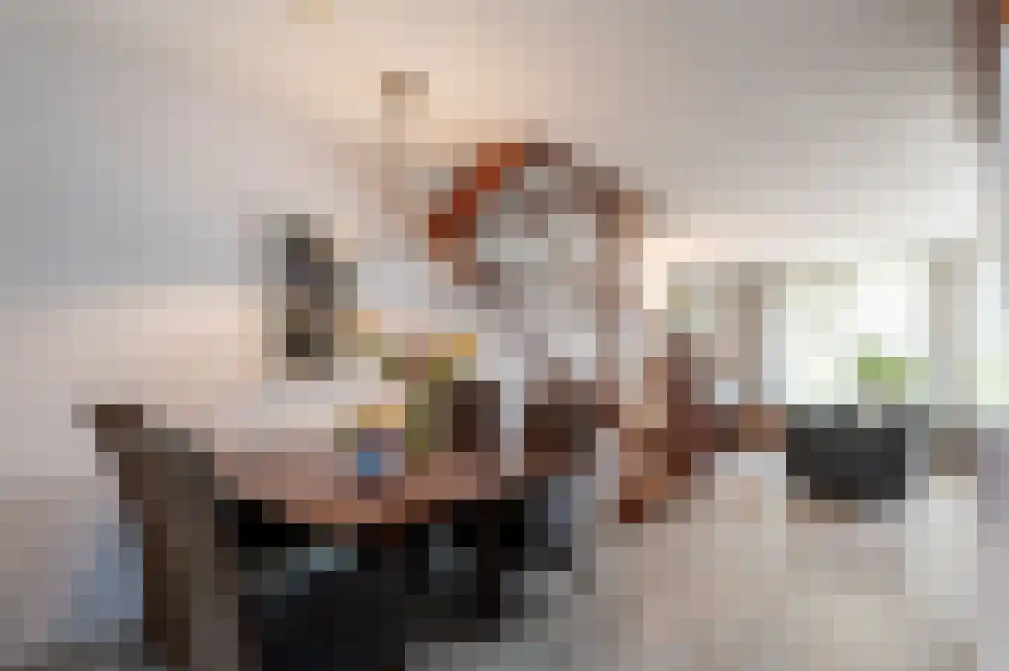 Elbeplantsoen 9 Helmond thumbnail 9