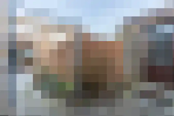 Elbereveldstraat 11 Kerkrade thumbnail 24