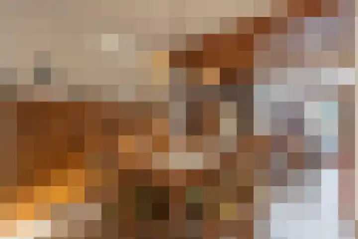 Elbereveldstraat 11 Kerkrade thumbnail 7