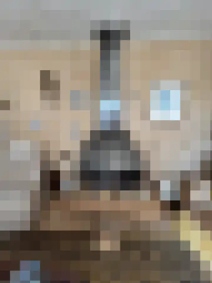 Elbereveldstraat 526 Kerkrade thumbnail 13
