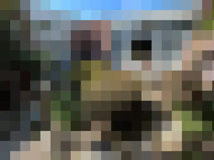 Elbereveldstraat 526 Kerkrade thumbnail 19