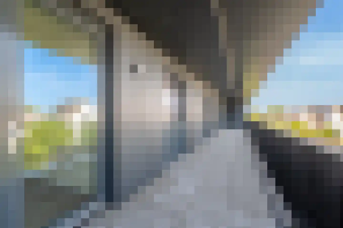 Elbert Mooijlaan 1 N Kortenhoef thumbnail 6