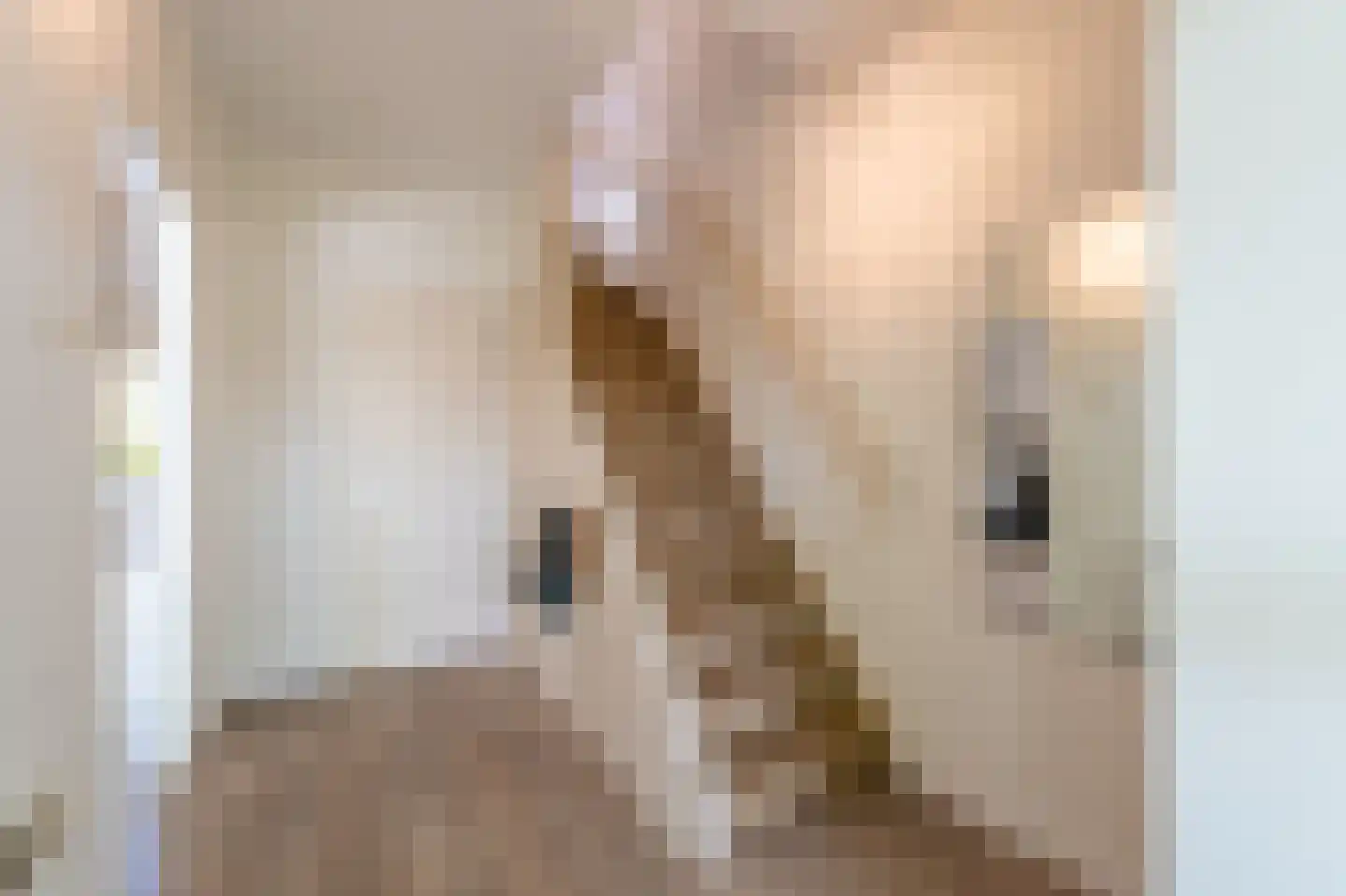 Elbert Mooijlaan 57 Kortenhoef thumbnail 24