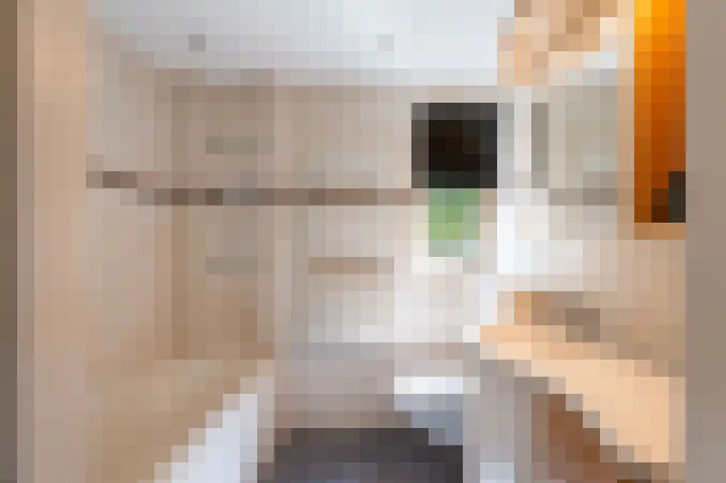 Elbert Mooijlaan 57 Kortenhoef thumbnail 29