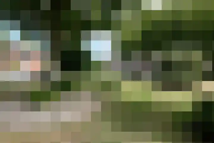 Elbert Mooijlaan 7 Kortenhoef thumbnail 28