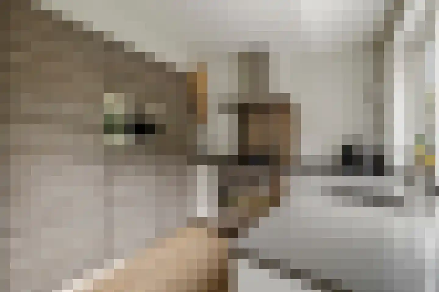 Elbert Mooijlaan 91 Kortenhoef thumbnail 15