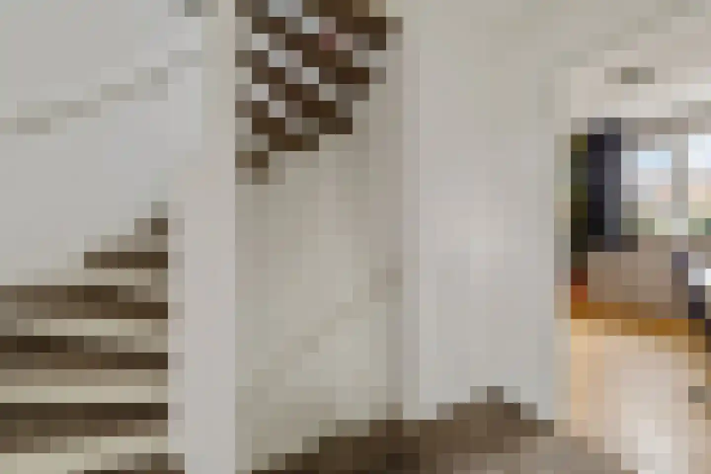 Elbert Mooijlaan 91 Kortenhoef thumbnail 23
