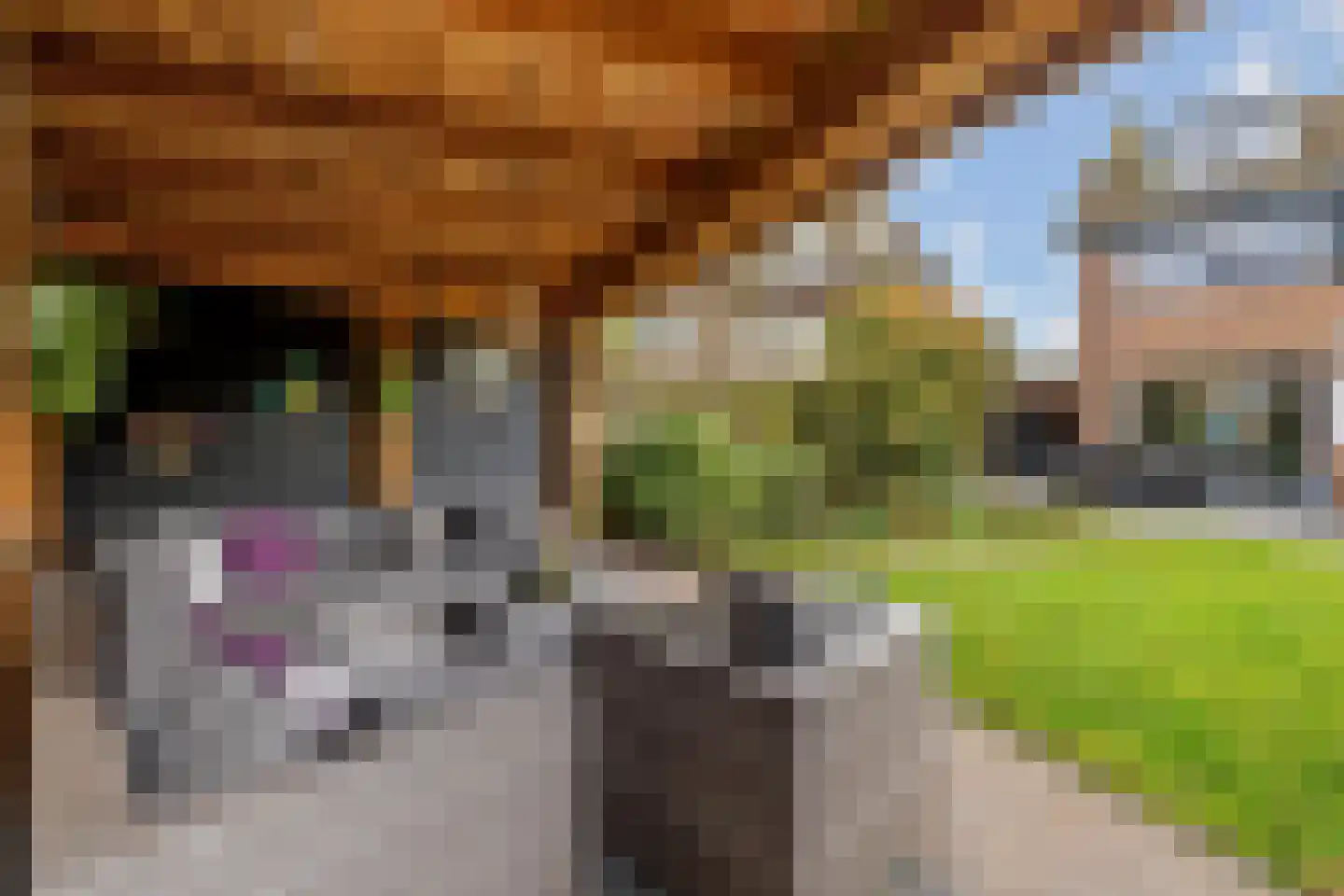 Elbert Mooijlaan 91 Kortenhoef thumbnail 31