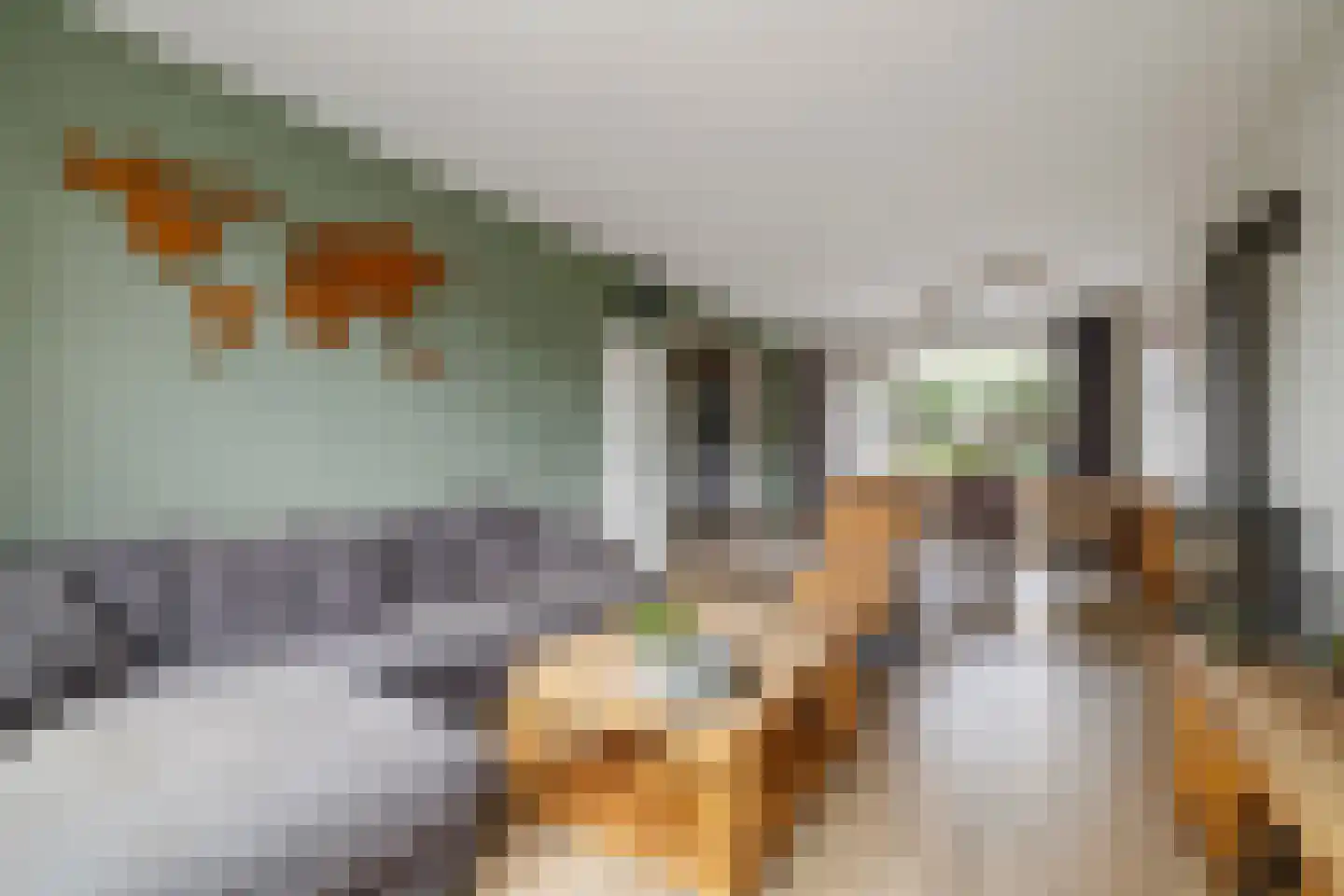Elbert Mooijlaan 91 Kortenhoef thumbnail 7