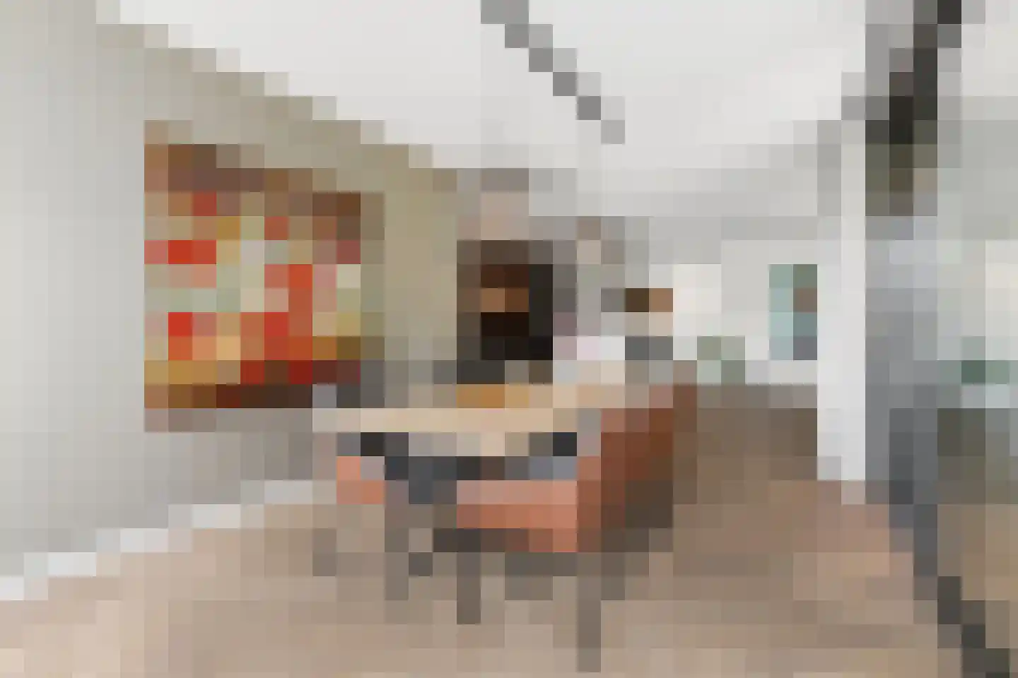 Elbert Veenendaalhof 28 Ede thumbnail 22