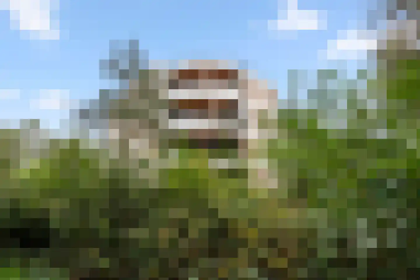 Elbert Veenendaalhof 40 Ede thumbnail 10